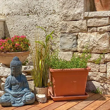 Eco Sunshine 룸바르다